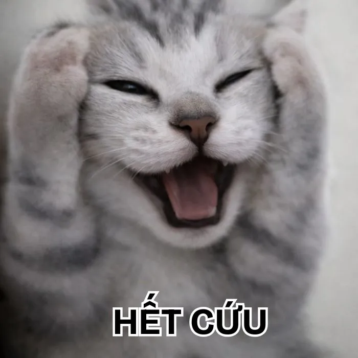 Khám phá 130+ meme hết cứu, hài hước bạn không thể bỏ lỡ