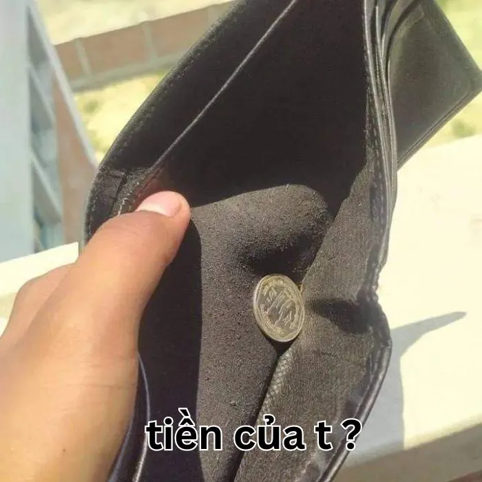 Tuyển tập 187+ meme hết tiền hài hước, cười sảng khoái Tuyển tập 187+ meme hết tiền hài hước, cười sảng khoái