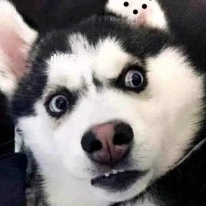 Khám phá 185+ meme hoang mang đỉnh cao, cười ra nước mắt