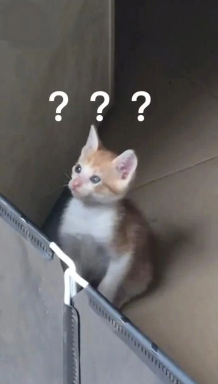 Tổng hợp 145+ meme hỏi chấm gây bão mạng xã hội