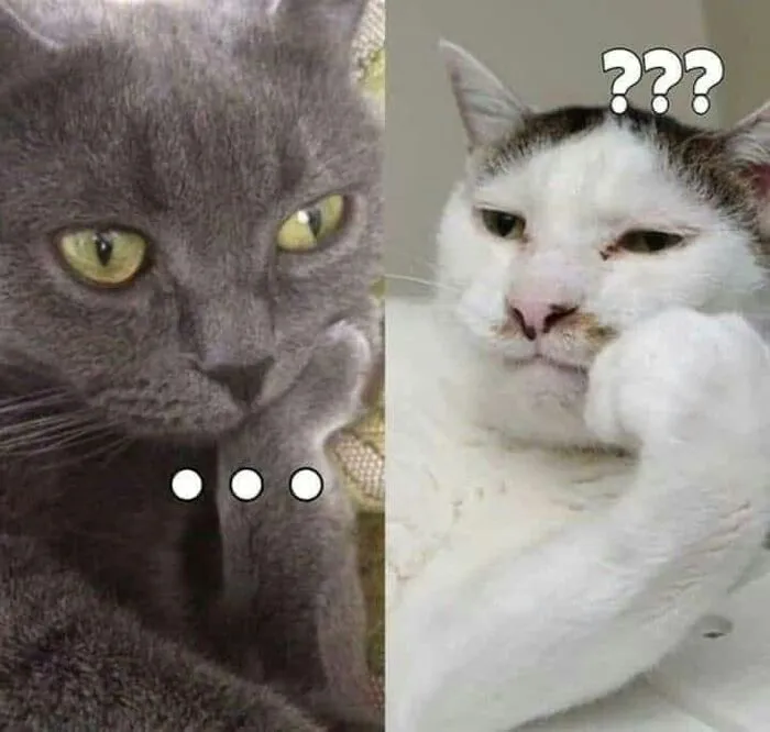 Tổng hợp 145+ meme hỏi chấm gây bão mạng xã hội