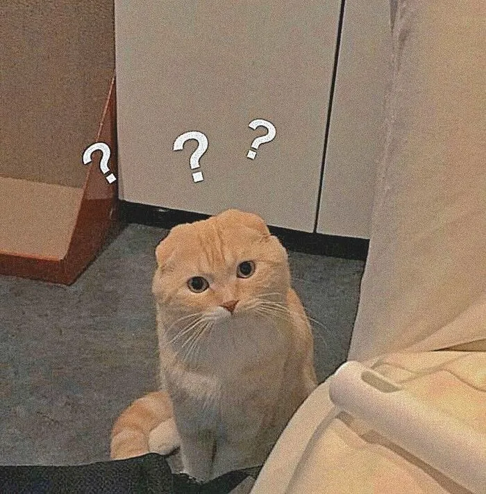 Tổng hợp 145+ meme hỏi chấm gây bão mạng xã hội