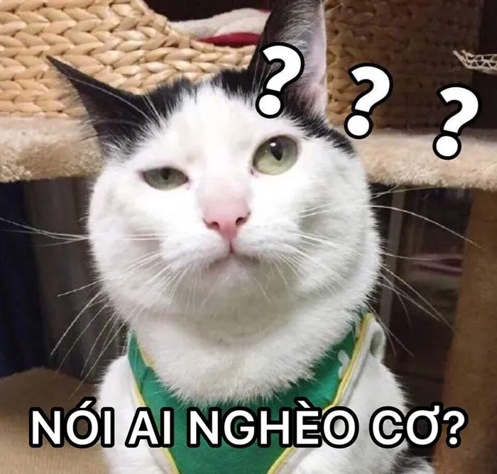 Tổng hợp 145+ meme hỏi chấm gây bão mạng xã hội