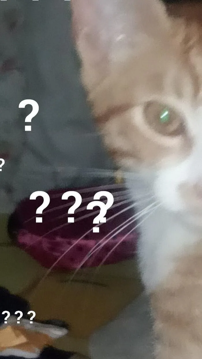 Tổng hợp 145+ meme hỏi chấm gây bão mạng xã hội