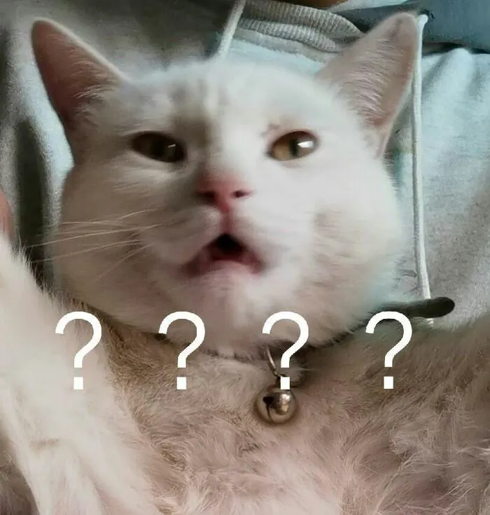 Tổng hợp 145+ meme hỏi chấm gây bão mạng xã hội