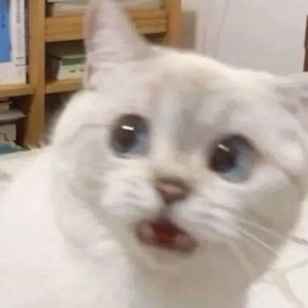 Tổng hợp 187+ meme hốt hoảng khiến bạn cười ra nước mắt