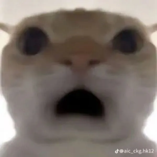 Tổng hợp 187+ meme hốt hoảng khiến bạn cười ra nước mắt
