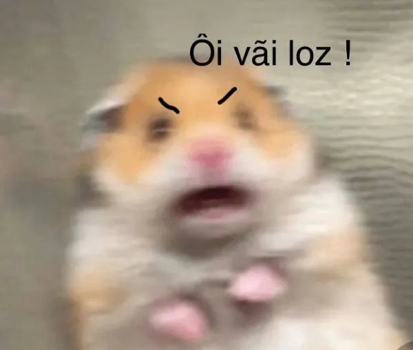 Tổng hợp 187+ meme hốt hoảng khiến bạn cười ra nước mắt