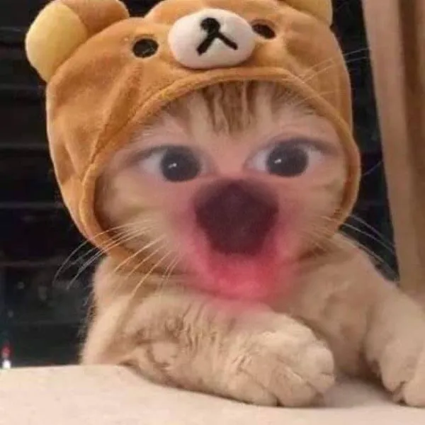 Tổng hợp 187+ meme hốt hoảng khiến bạn cười ra nước mắt