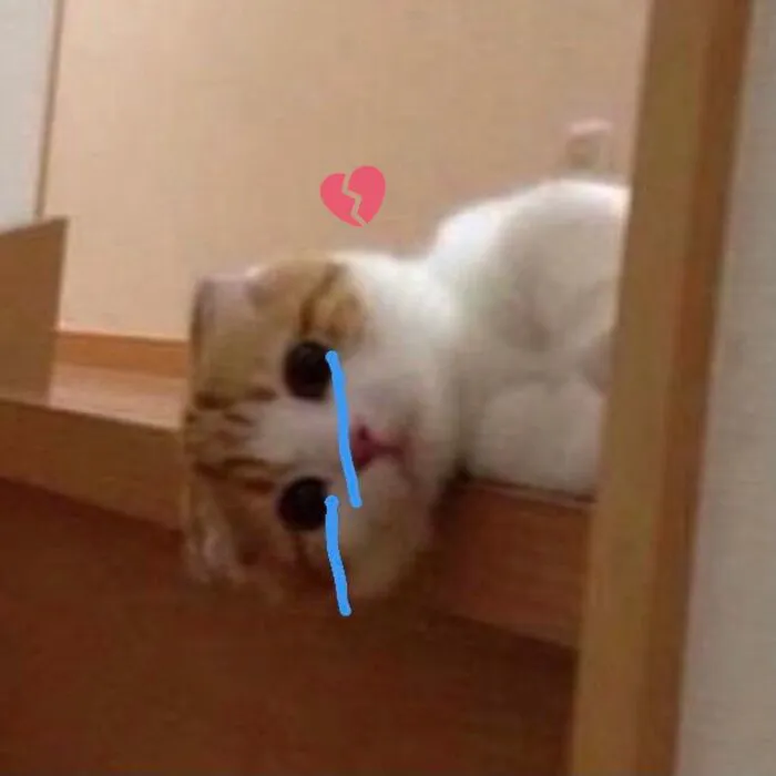 Tổng hợp 180+ meme khóc hài hước cực đỉnh