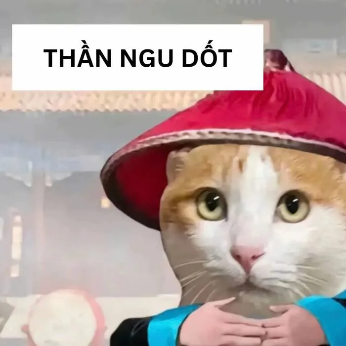 Tuyển tập 189+ meme lạy đỉnh cao, cười ra nước mắt