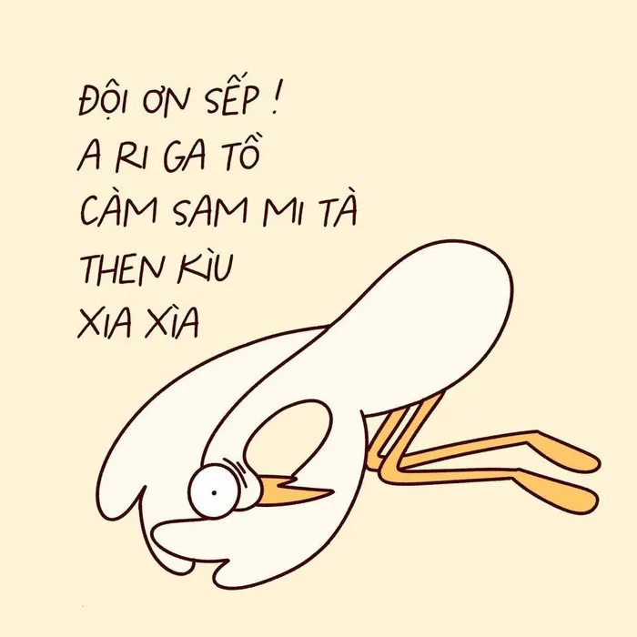 Tuyển tập 189+ meme lạy đỉnh cao, cười ra nước mắt
