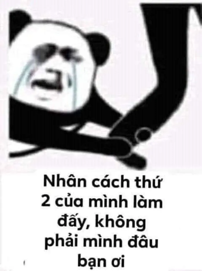 Tuyển tập 189+ meme lạy đỉnh cao, cười ra nước mắt