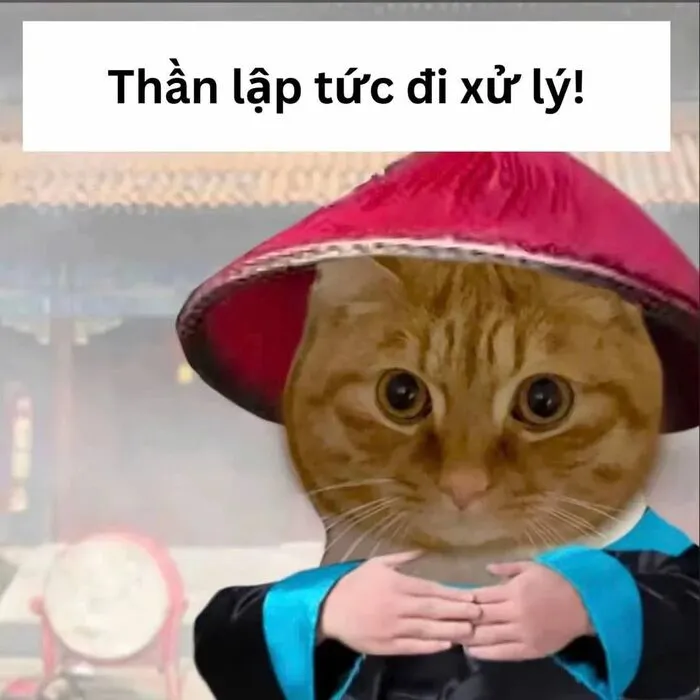 Tuyển tập 189+ meme lạy đỉnh cao, cười ra nước mắt