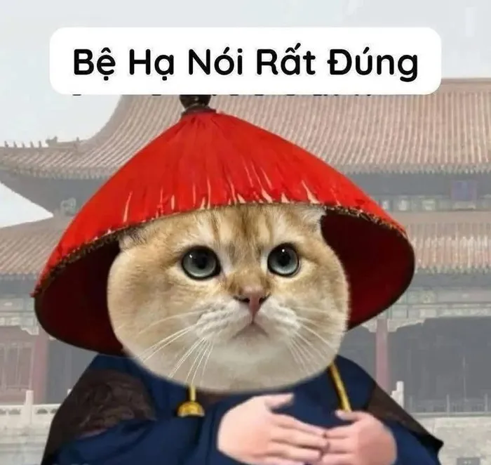 Tuyển tập 189+ meme lạy đỉnh cao, cười ra nước mắt
