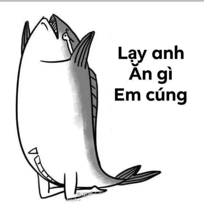 Tuyển tập 189+ meme lạy đỉnh cao, cười ra nước mắt