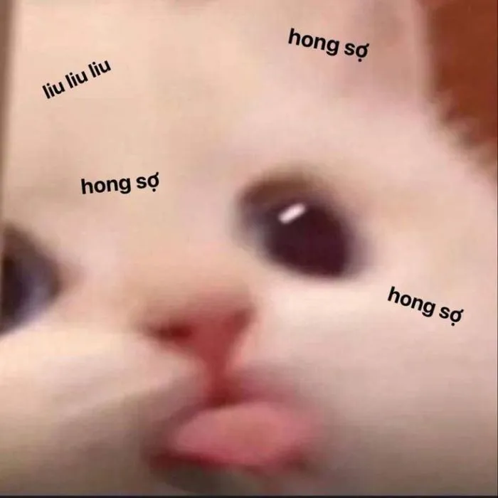 Khám phá 147+ meme lêu lêu hài hước, siêu độc đáo Khám phá 147+ meme lêu lêu hài hước, siêu độc đáo