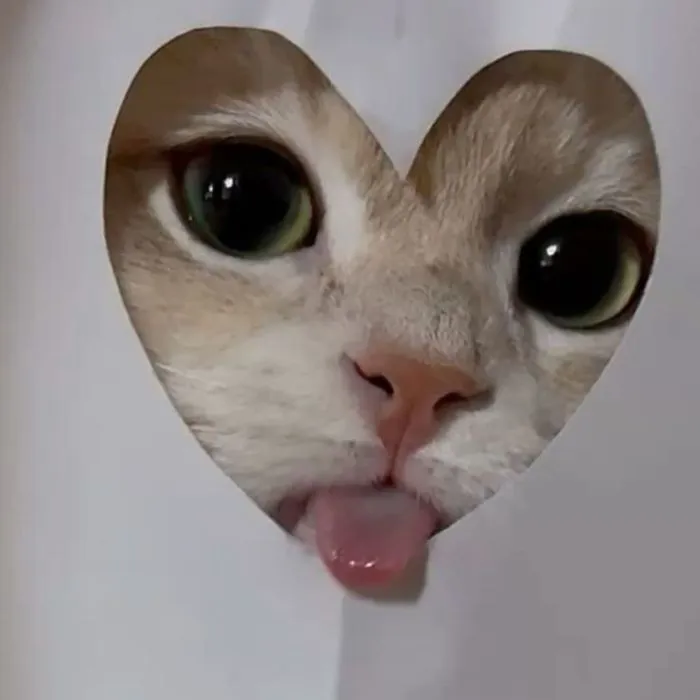 Khám phá 147+ meme lêu lêu hài hước, siêu độc đáo Khám phá 147+ meme lêu lêu hài hước, siêu độc đáo