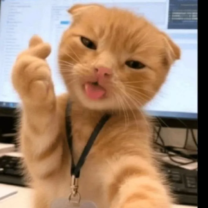 Khám phá 147+ meme lêu lêu hài hước, siêu độc đáo Khám phá 147+ meme lêu lêu hài hước, siêu độc đáo