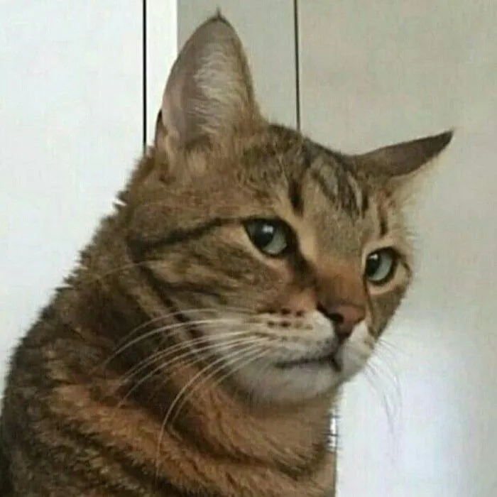 238+ meme liếc biểu cảm độc đáo, giải trí đỉnh cao