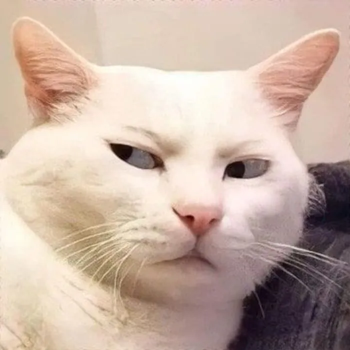 238+ meme liếc biểu cảm độc đáo, giải trí đỉnh cao