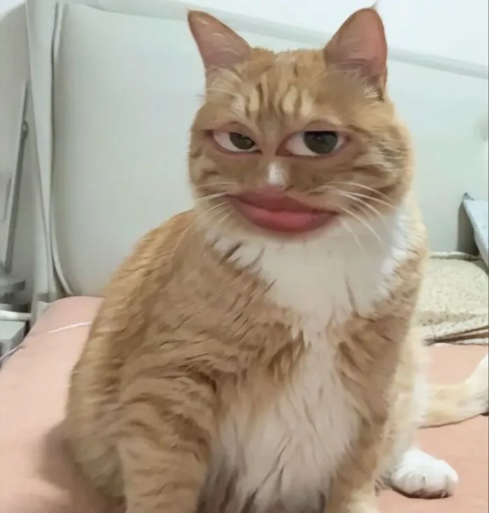 238+ meme liếc biểu cảm độc đáo, giải trí đỉnh cao