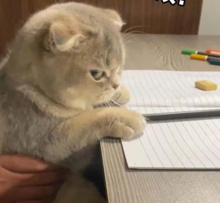 238+ meme liếc biểu cảm độc đáo, giải trí đỉnh cao