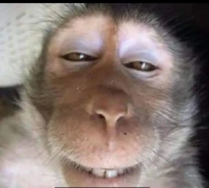 238+ meme liếc biểu cảm độc đáo, giải trí đỉnh cao