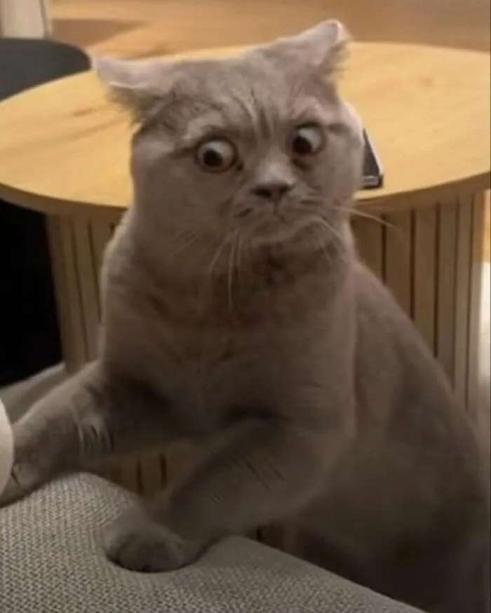 238+ meme liếc biểu cảm độc đáo, giải trí đỉnh cao