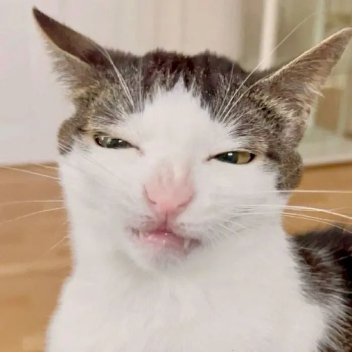 238+ meme liếc biểu cảm độc đáo, giải trí đỉnh cao
