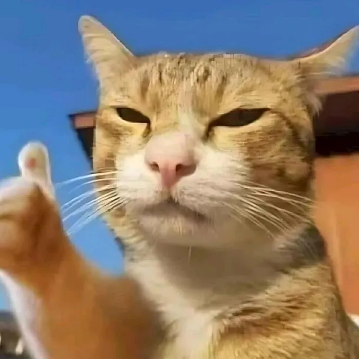 Khám phá 99+ ảnh meme like cực hài hước khuấy đảo mạng xã hội