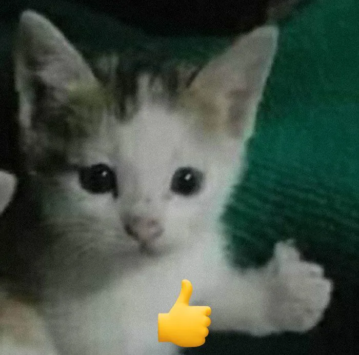 Khám phá 99+ ảnh meme like cực hài hước khuấy đảo mạng xã hội