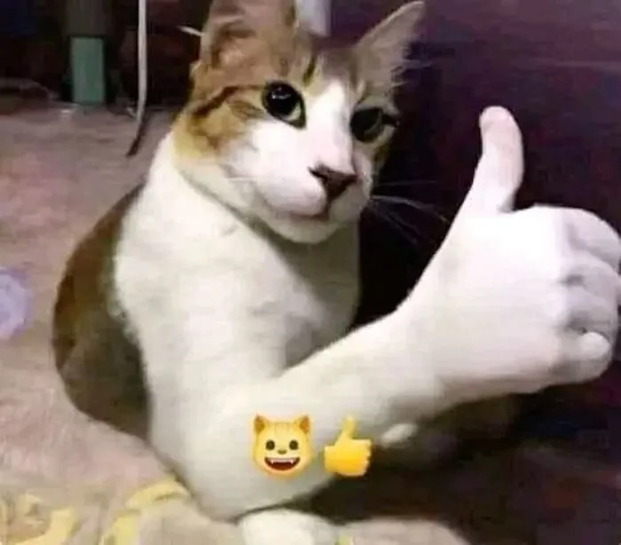 Khám phá 99+ ảnh meme like cực hài hước khuấy đảo mạng xã hội