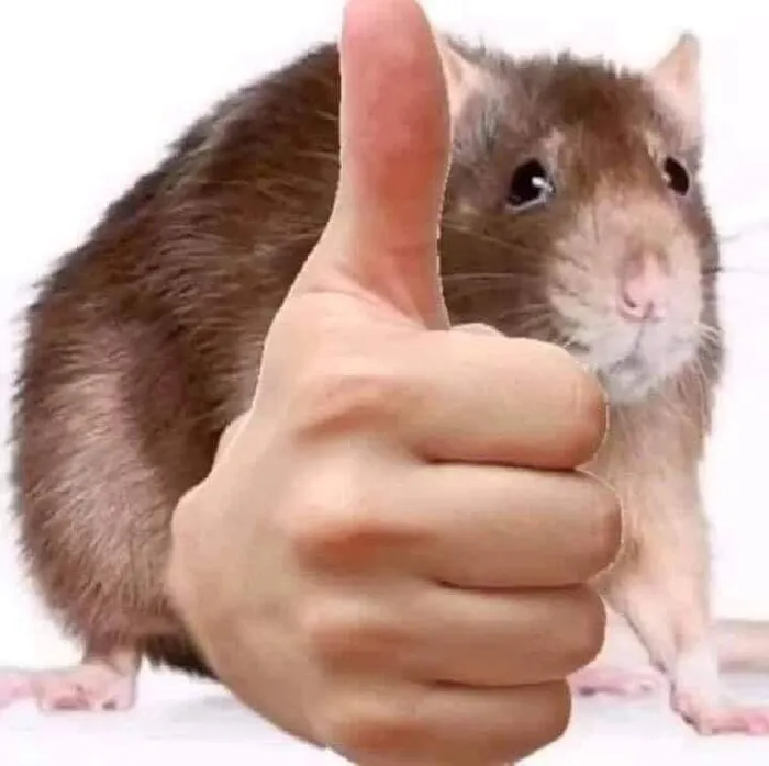Khám phá 99+ ảnh meme like cực hài hước khuấy đảo mạng xã hội