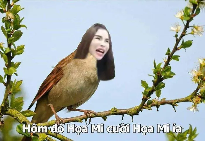 Khám phá nét đáng yêu với 93+ meme linda độc đáo Khám phá nét đáng yêu với 93+ meme linda độc đáo