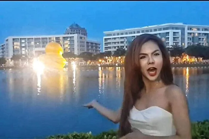 Khám phá nét đáng yêu với 93+ meme linda độc đáo Khám phá nét đáng yêu với 93+ meme linda độc đáo