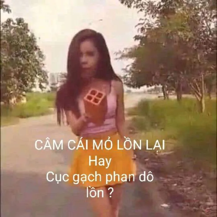 Khám phá nét đáng yêu với 93+ meme linda độc đáo Khám phá nét đáng yêu với 93+ meme linda độc đáo