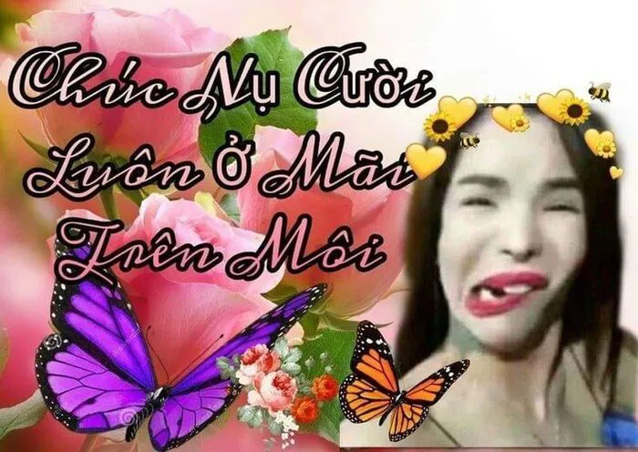 Khám phá nét đáng yêu với 93+ meme linda độc đáo Khám phá nét đáng yêu với 93+ meme linda độc đáo