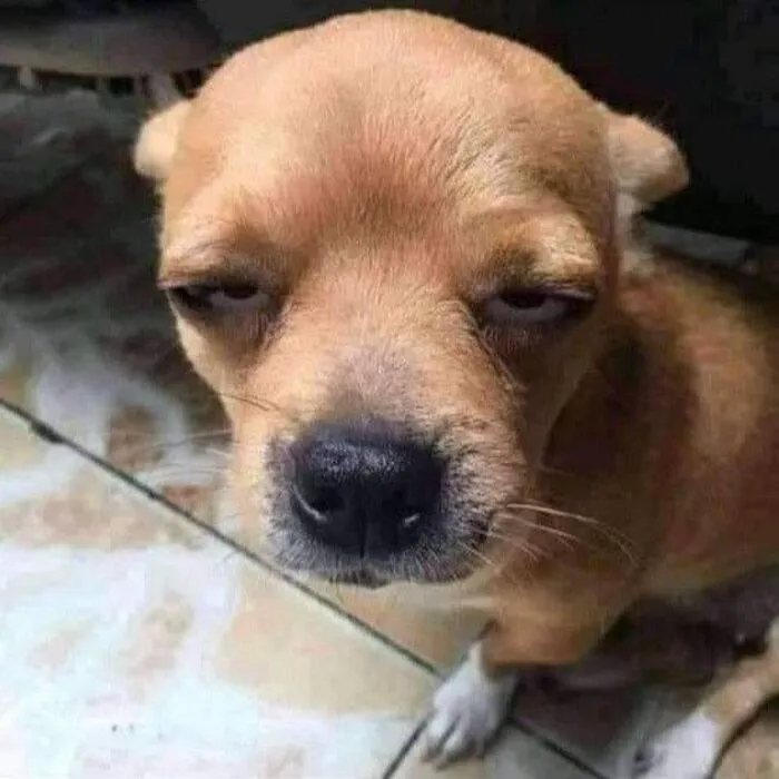Meme lườm: 185+ biểu cảm 'cà khịa' đỉnh cao gây sốt mạng