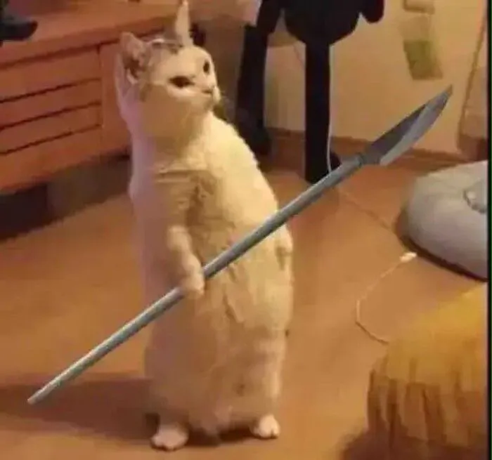 Mê mẩn loạt meme mèo cầm dao 'chất hơn nước cất'!