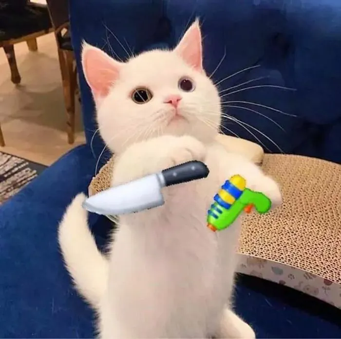 Mê mẩn loạt meme mèo cầm dao 'chất hơn nước cất'!