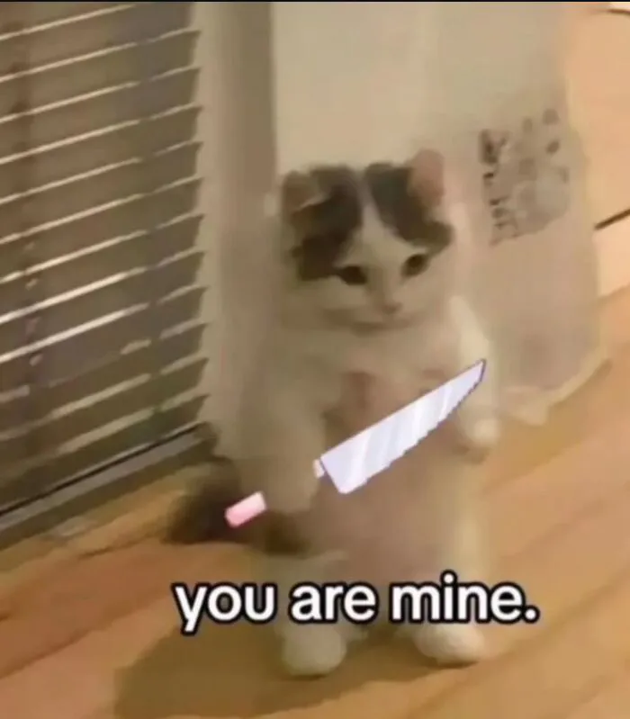 Mê mẩn loạt meme mèo cầm dao 'chất hơn nước cất'!