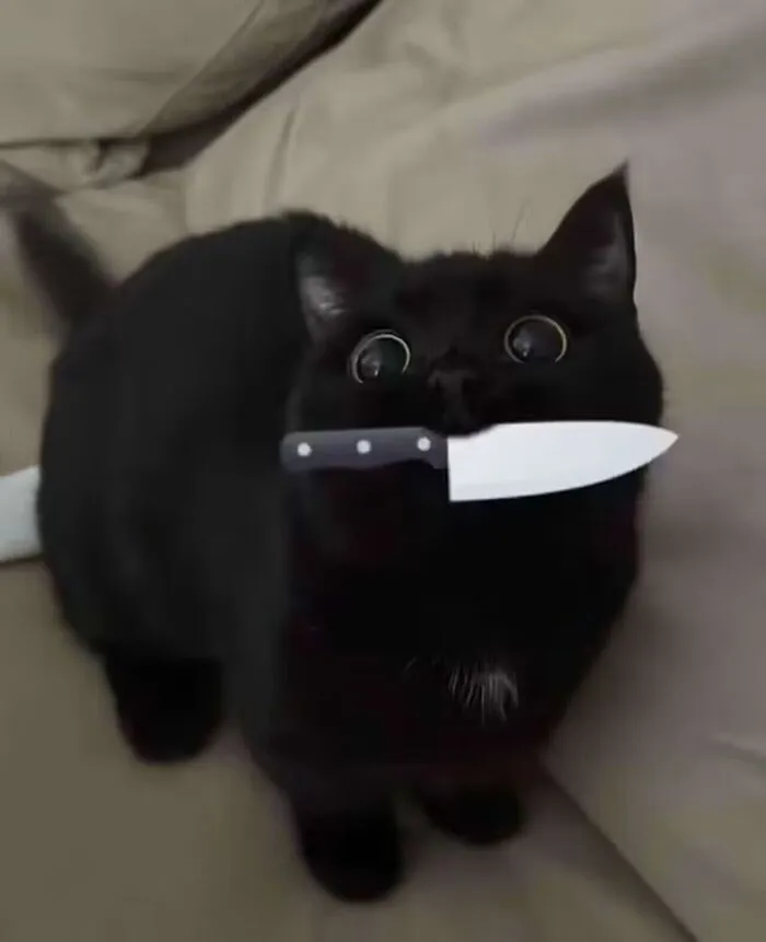 Mê mẩn loạt meme mèo cầm dao 'chất hơn nước cất'!