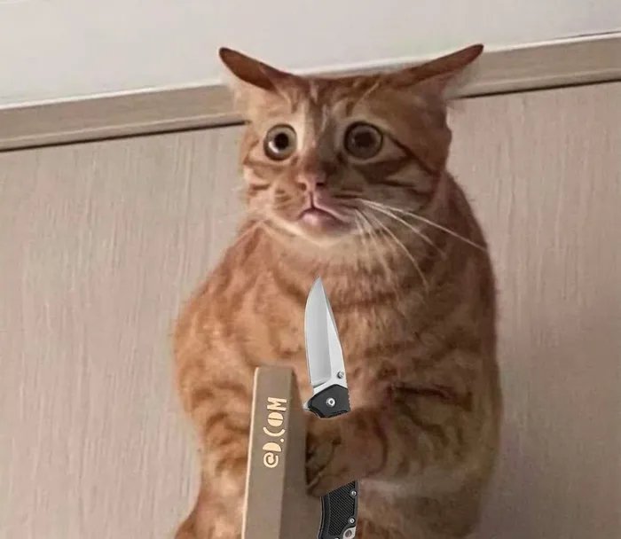 Mê mẩn loạt meme mèo cầm dao 'chất hơn nước cất'!