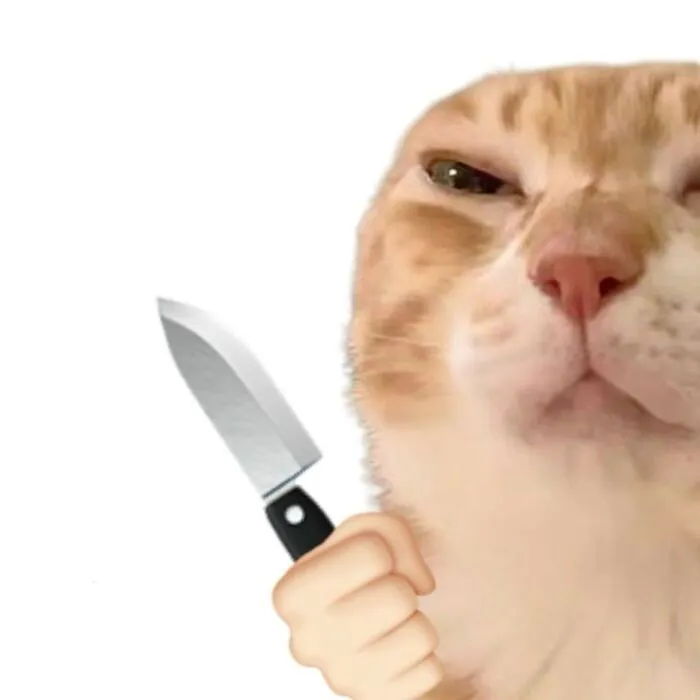 Mê mẩn loạt meme mèo cầm dao 'chất hơn nước cất'!