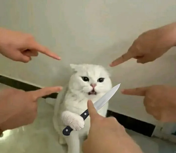 Mê mẩn loạt meme mèo cầm dao 'chất hơn nước cất'!