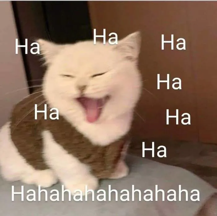 Tuyển tập 238+ meme mèo cười 'cực mạnh' làm bạn 'lăn ra sàn'