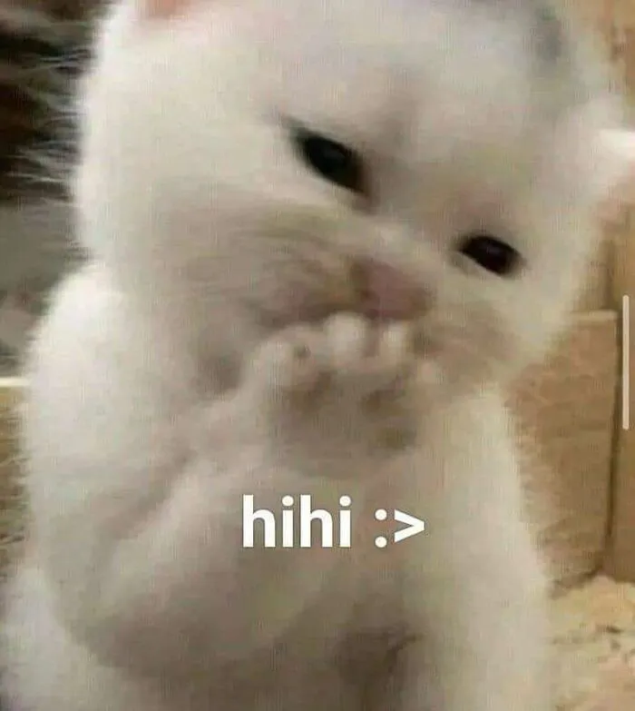 Tuyển tập 238+ meme mèo cười 'cực mạnh' làm bạn 'lăn ra sàn'