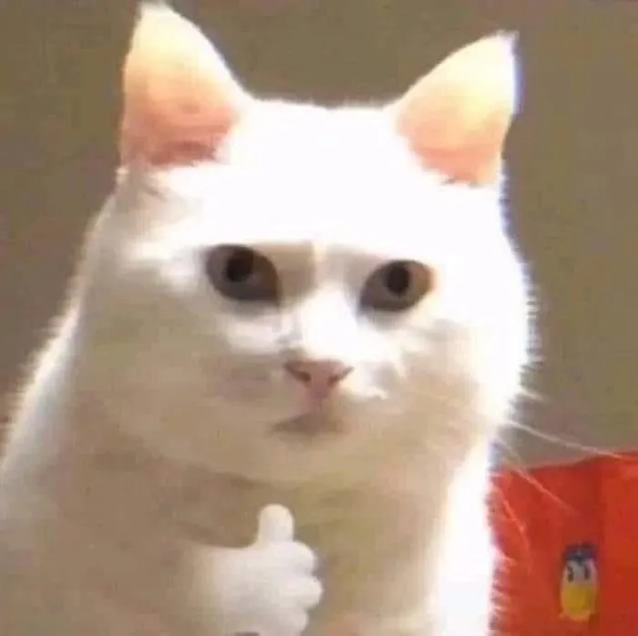Tổng hợp 238+ meme mèo like cực đỉnh khiến bạn cười xỉu