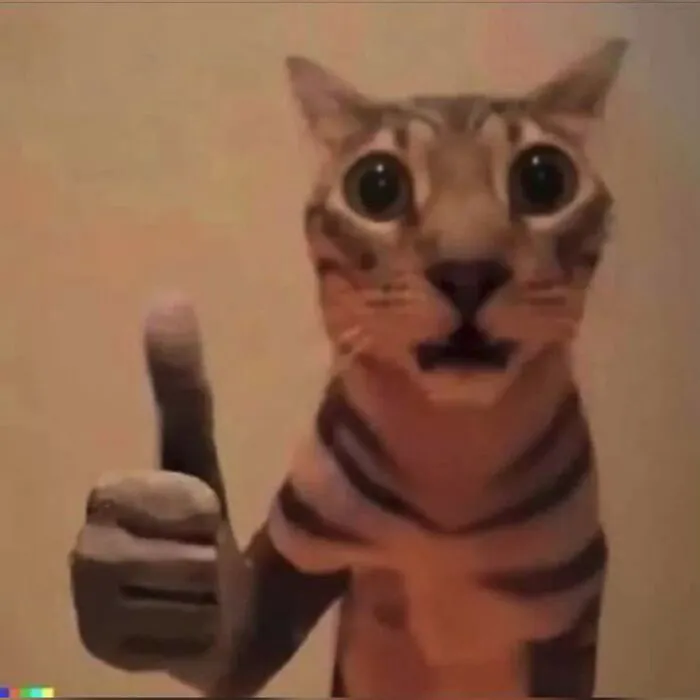 Tổng hợp 238+ meme mèo like cực đỉnh khiến bạn cười xỉu
